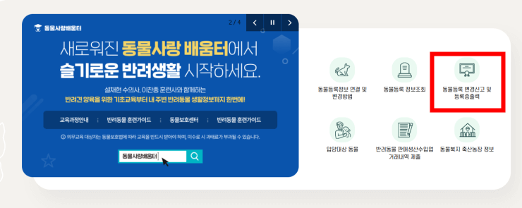 강아지 내장칩 정보변경하는방법