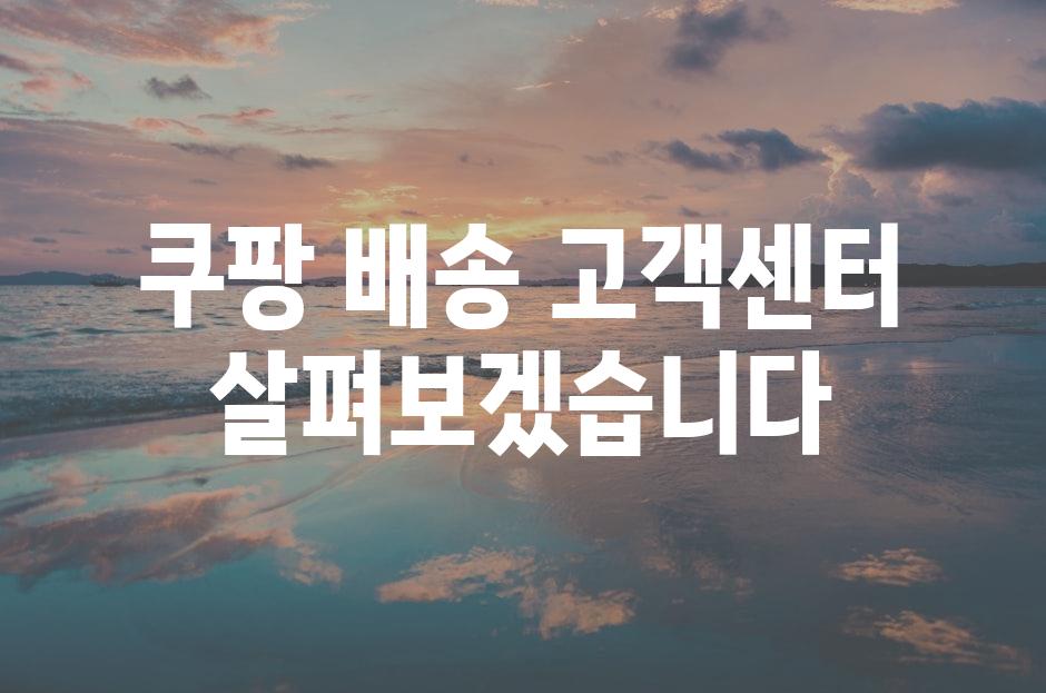 샘플 (81)