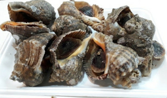 소라 효능 부작용