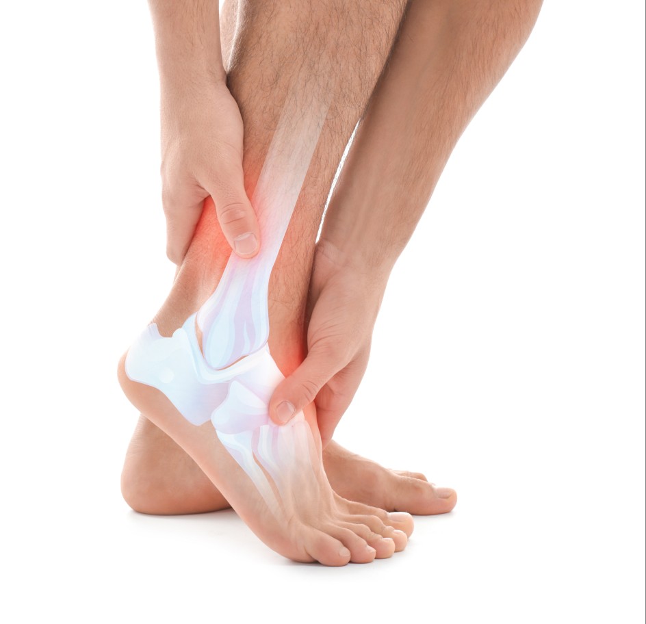 발목에 있는 하얀색 뼈의 모습