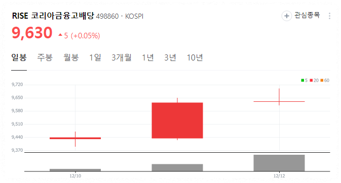 RISE 코리아금융고배당 ETF