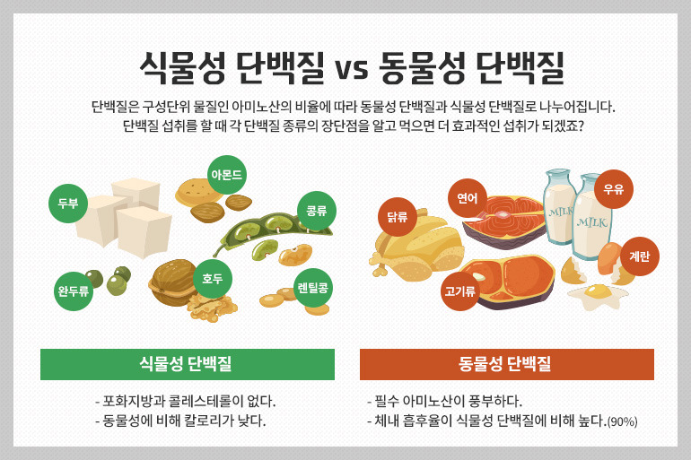 단백질 구성(출처 휴비스 공식블로그)