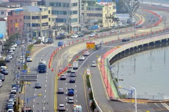 마산 해안도로 5월의 꽃 다정큼나무 산딸나무 해당화_4