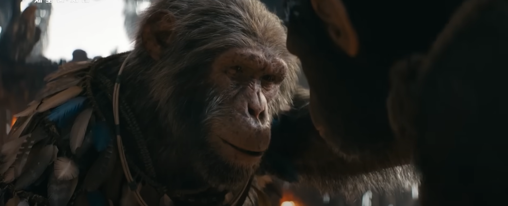 혹성탈출 새로운 시대