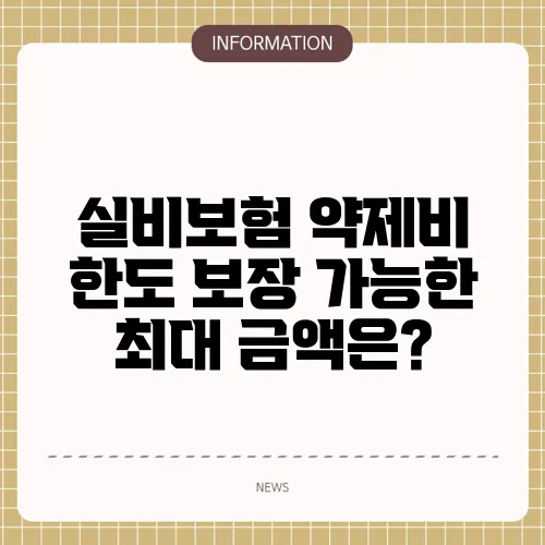 실비보험 약제비 한도 보장 가능한 최대 금액은?