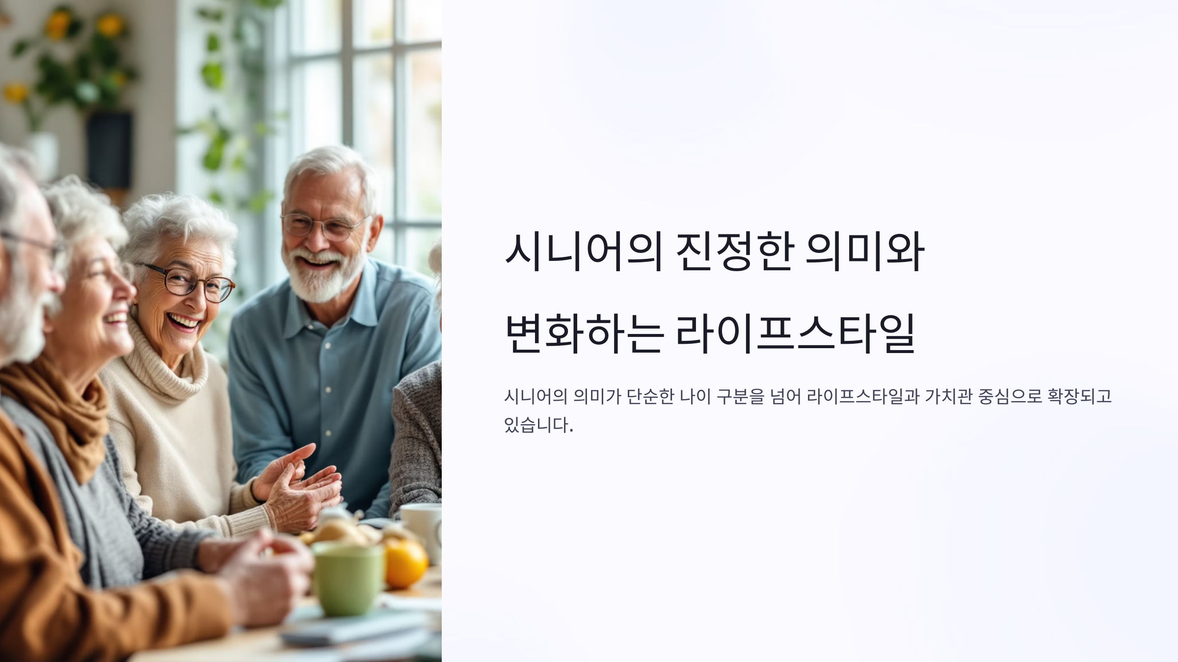 시니어 뜻