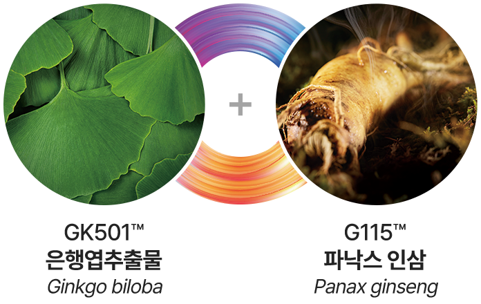 브레이닝 캡슐 성분