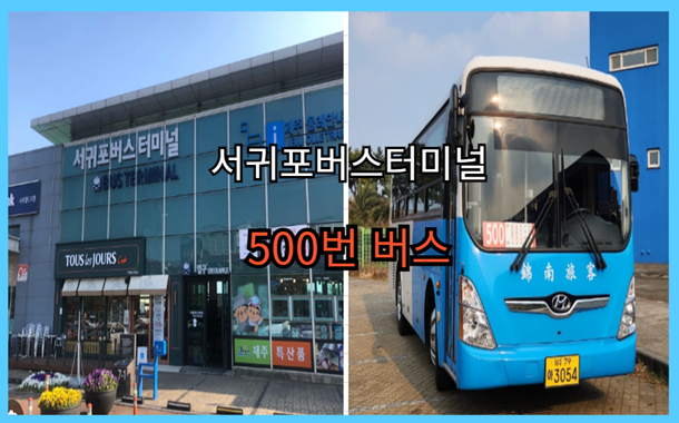 송악산 마라도 배시간표 예약 방법 - 서귀포시 출발