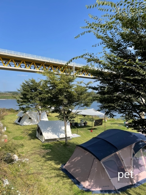 경기-연천-캠핑브릿지캠핑장-예약-방법-애견-동반-가격-주소-시간-후기