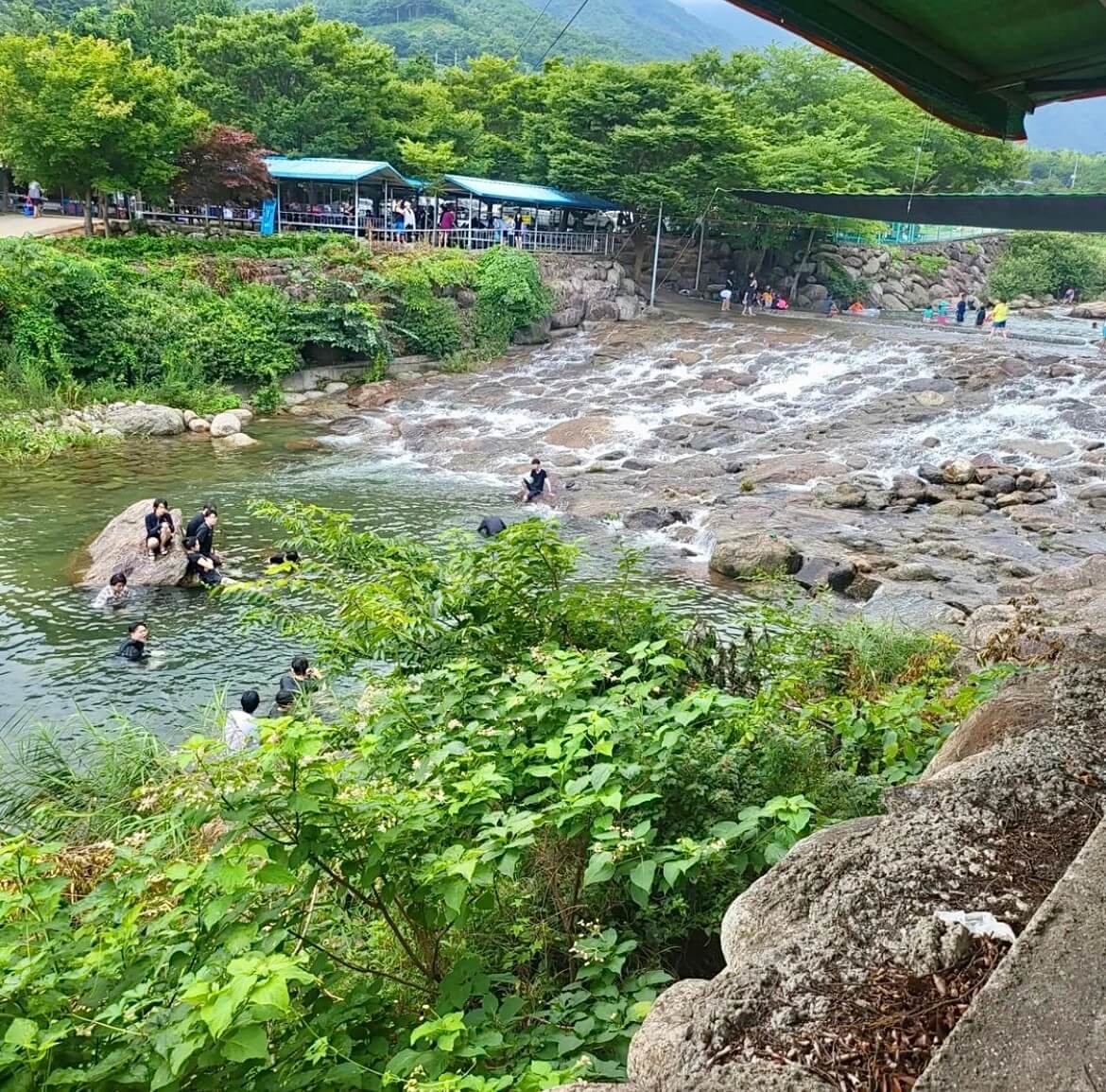 6시 내고향 전남 광양 닭구이 맛집 옥룡계곡의 캐빈하우스와 광양 복수박, 와인동굴, 농부네 텃밭 도서관 정보