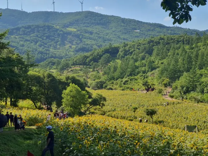 YnwAERknllLRru4ly9kCyQD