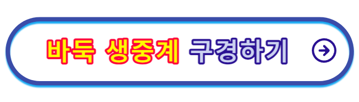타이젬-바둑