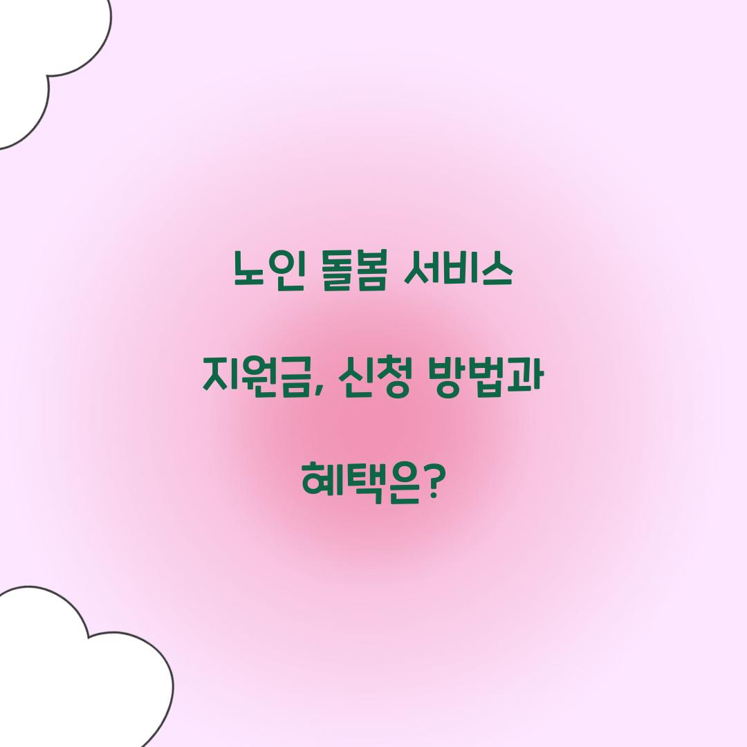 노인 돌봄 서비스 지원금
