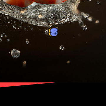 홍성남당항 대하축제