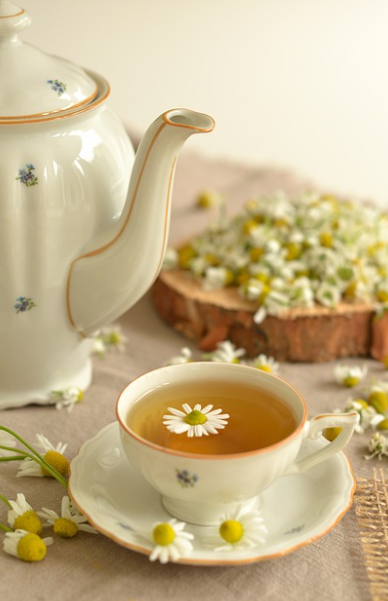 캐모마일, 작은 꽃의 큰 힘: 진정·숙면·면역을 돕는 자연의 처방전