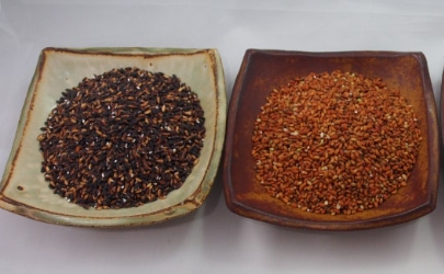 쌀종류-흑미, 적미