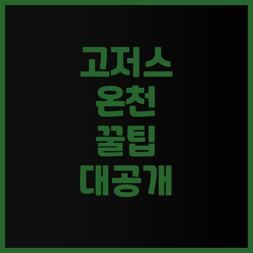 고저스 핫 스프링 리조트 추천! 일본..