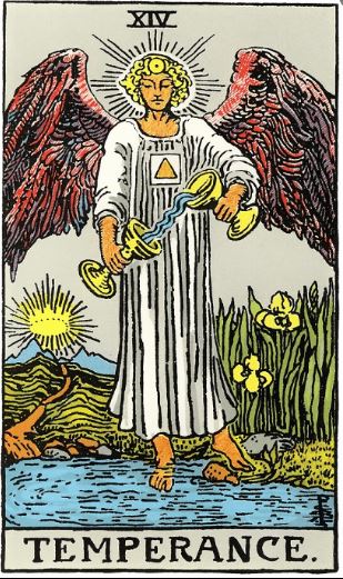 타로14번 절제 카드사진