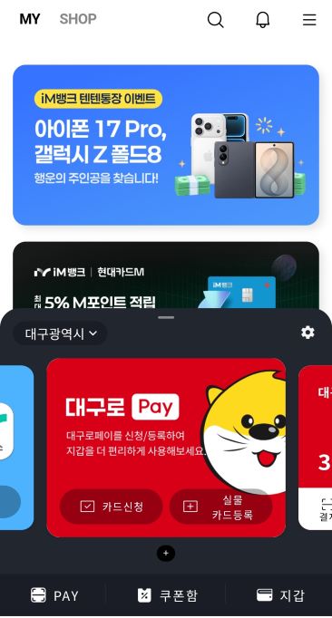 대구로페이