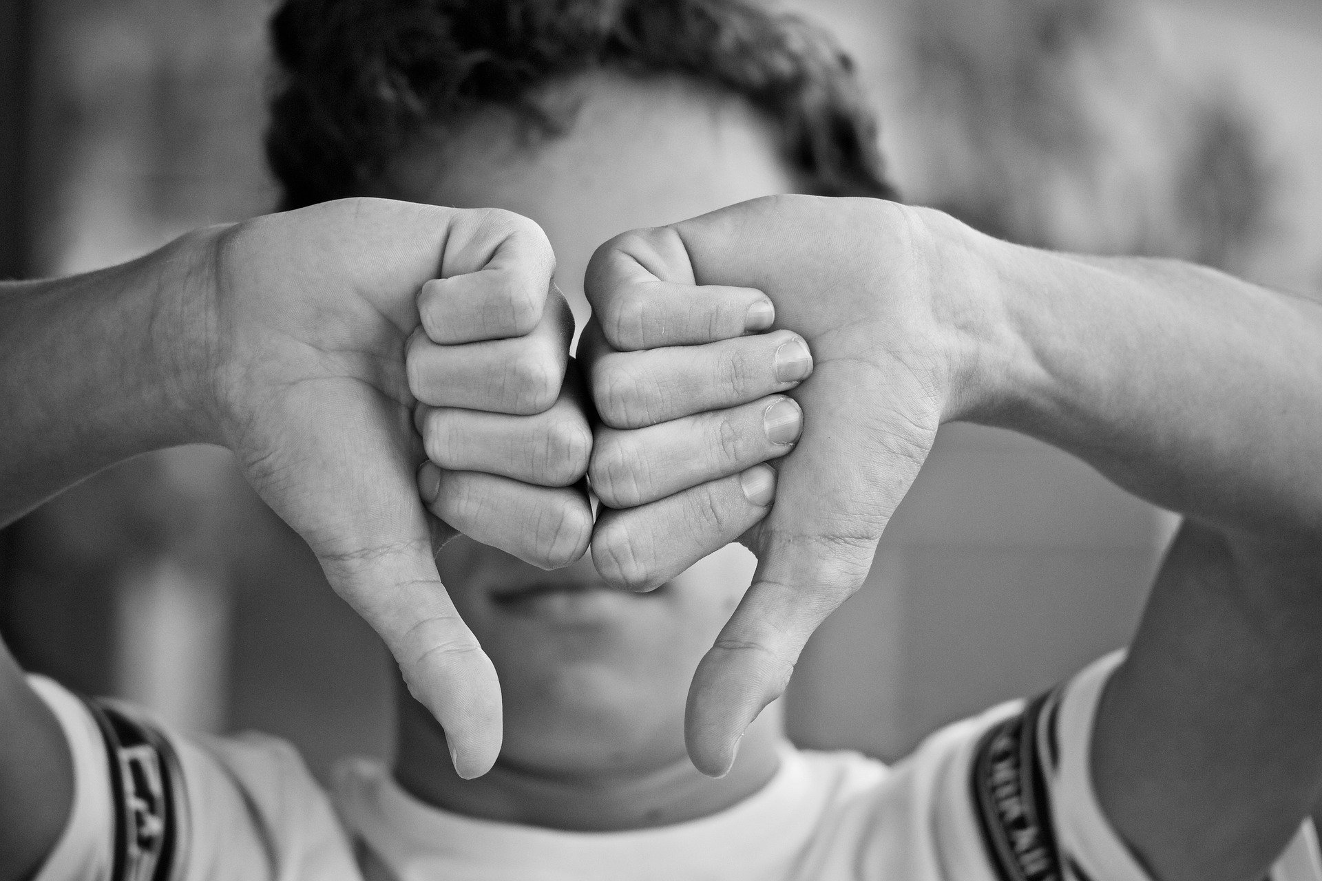 어휘 상보적 배타적