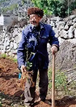 치매 예방 차, 브레이닝 캡슐 먹었는데 효과가 있는지 모르겠다?