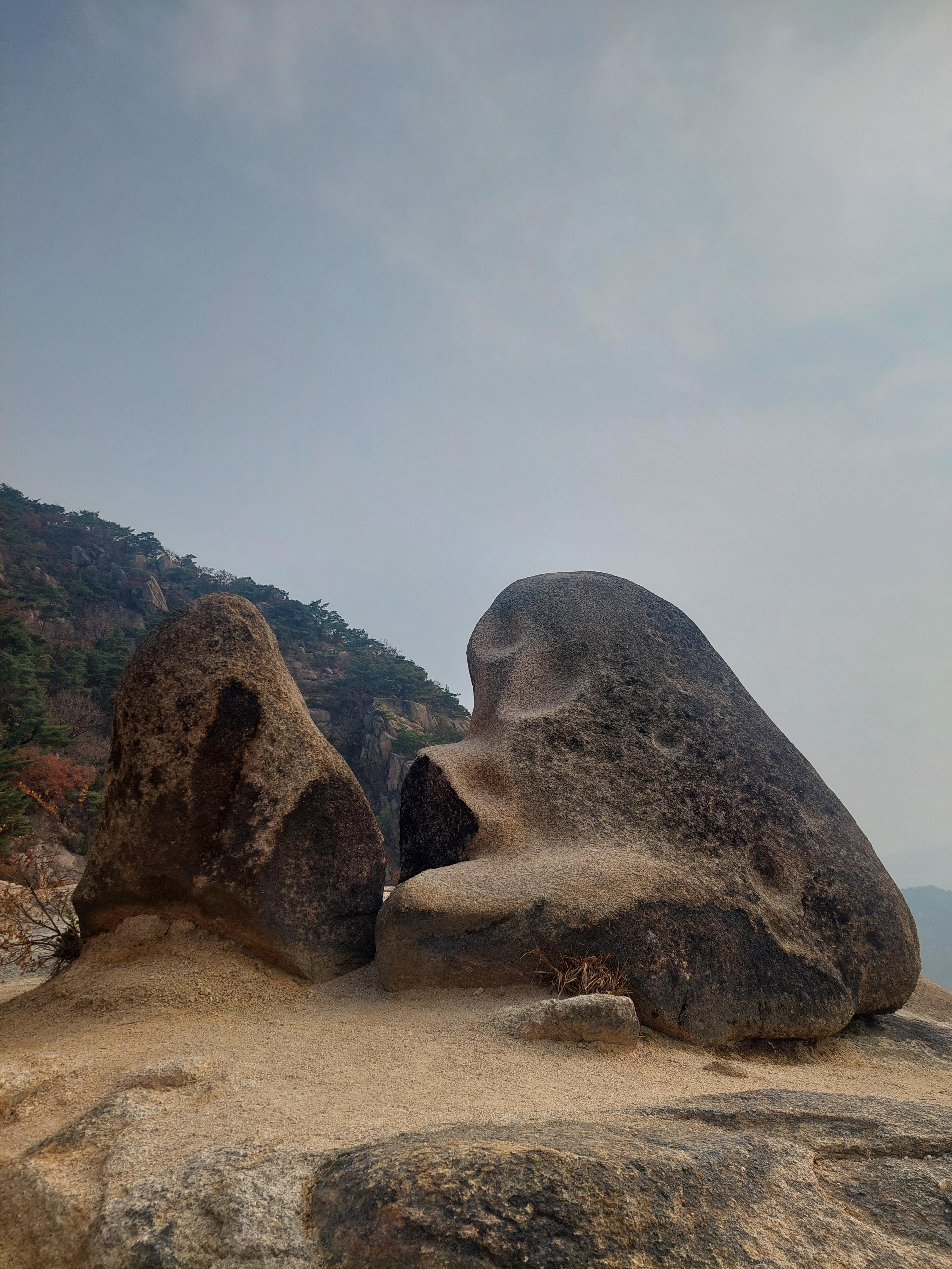 비봉