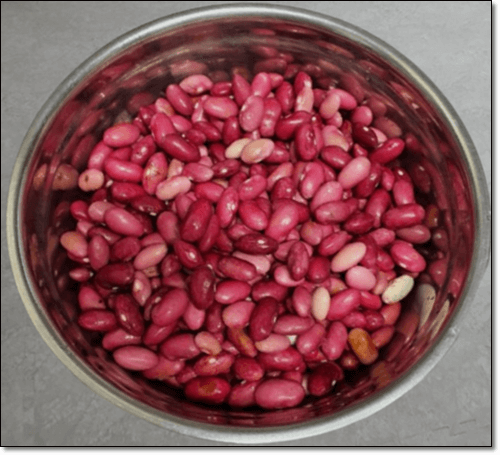 붉은 강낭콩