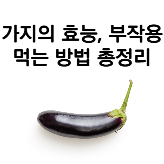 가지의 효능과 부작용 및 먹는 방법