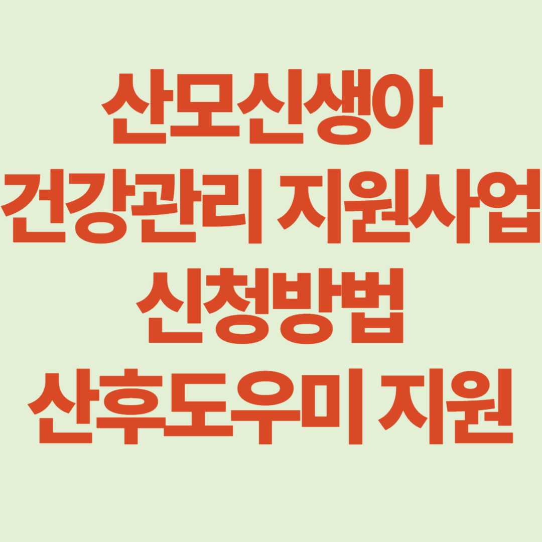 산모신생아 건강관리 지원사업 신청방법 정부 산후도우미 지원