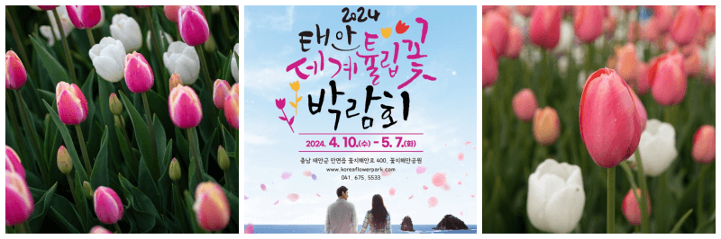 태안 세계튤립꽃박람회 포토, 포스터