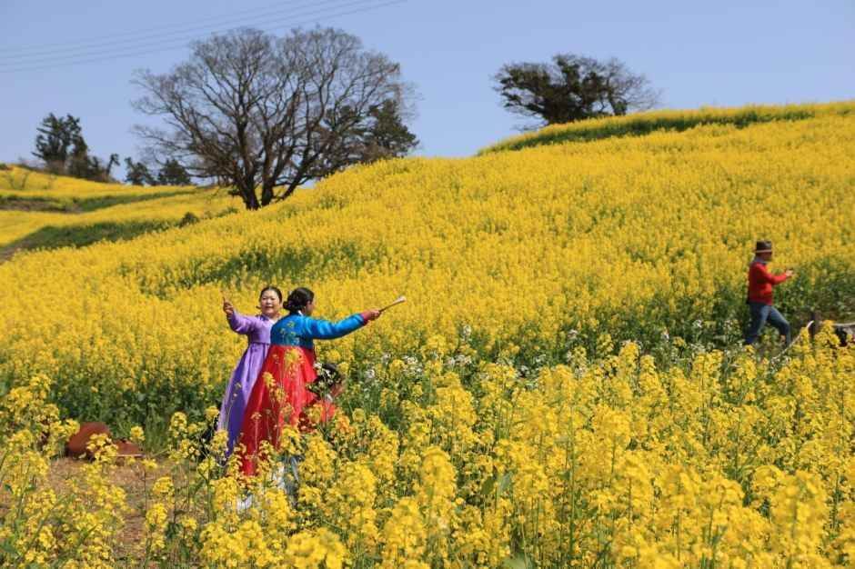 진도 신비의 바닷길축제 2026