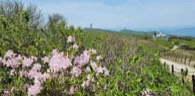 소백산 국립공원 홈페이지