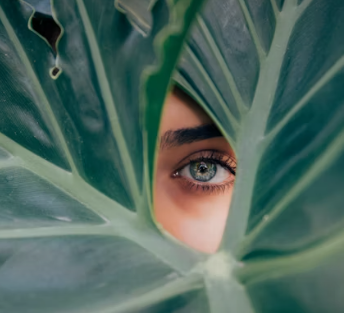 히알루론산 효능