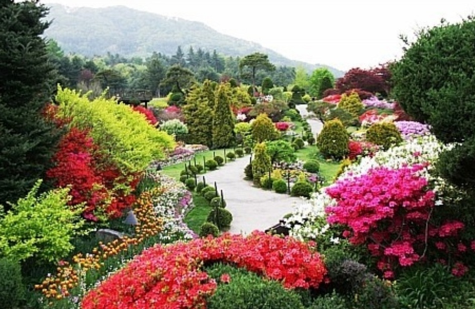 가평 아침고요 수목원 하늘정원 이미지