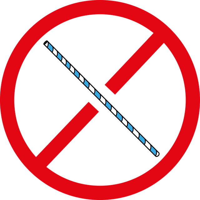 플라스틱 안쓰는 빨대