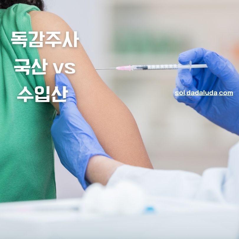 독감주사 국산 수입산 차이