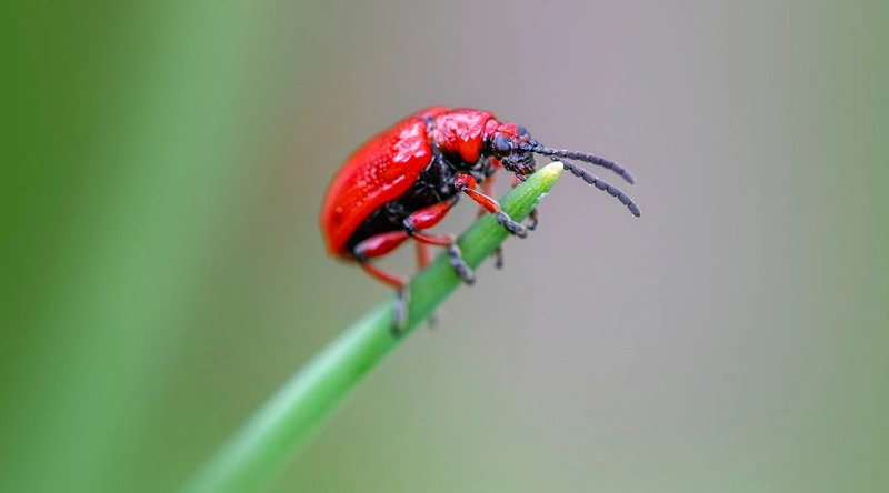 1. 건설안전관리자 자격증 종류