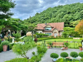 양평 가볼만한곳 베스트10 두물머리 연잎핫도그_10