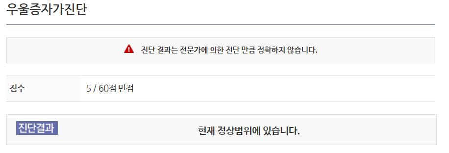 우울증 자가진단 결과