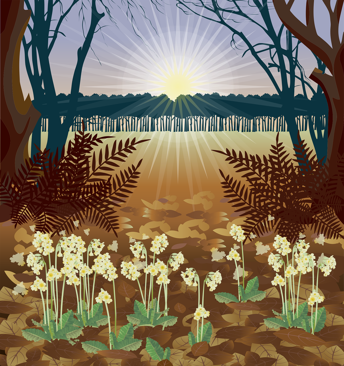 플랜테리어 관련 사진