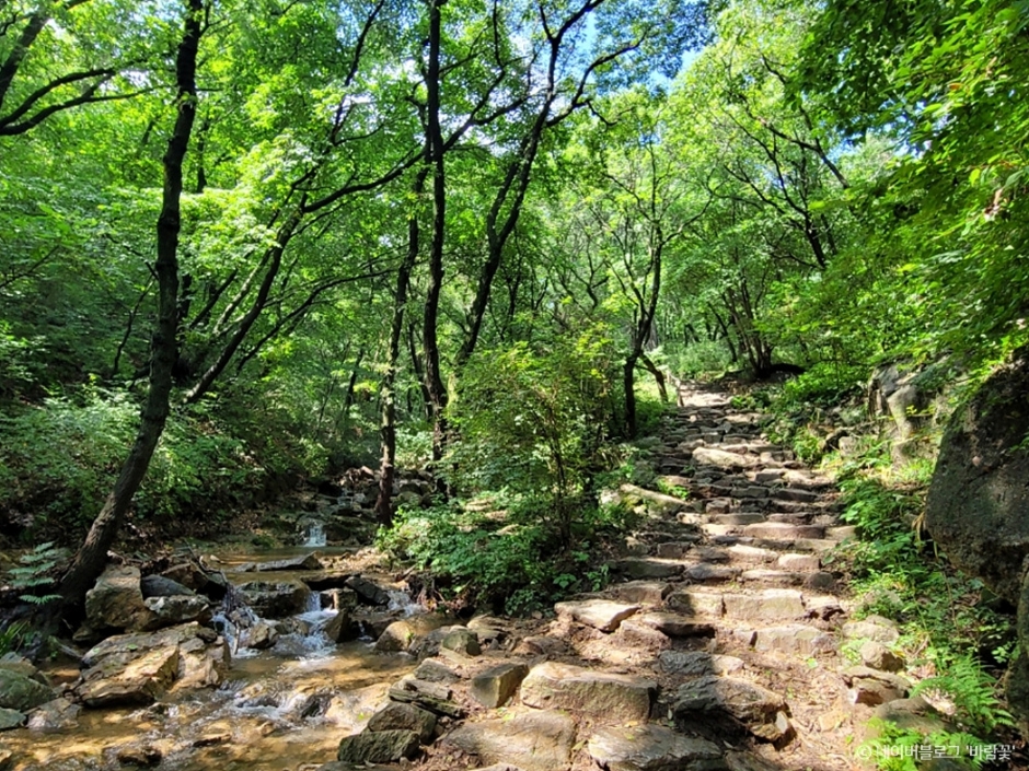 과천 가볼만한곳 베스트10