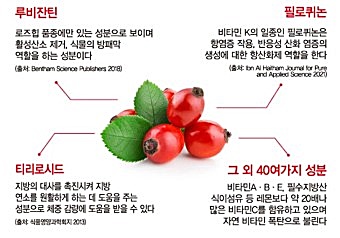 로즈힙퓨레