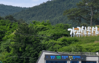 완도_생일도_빠르게_가는길_당목항_배시간_섬_여행코스