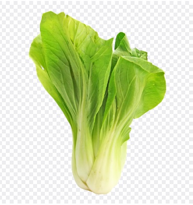 대형마트 절임배추 예약판매 가격비교 이마트 홈플 롯데 농협