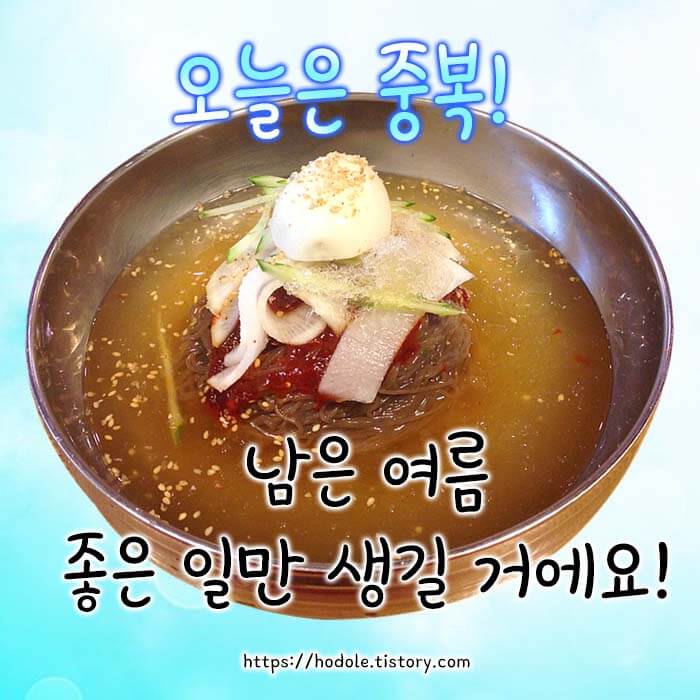 중복날 아침인사 이미지