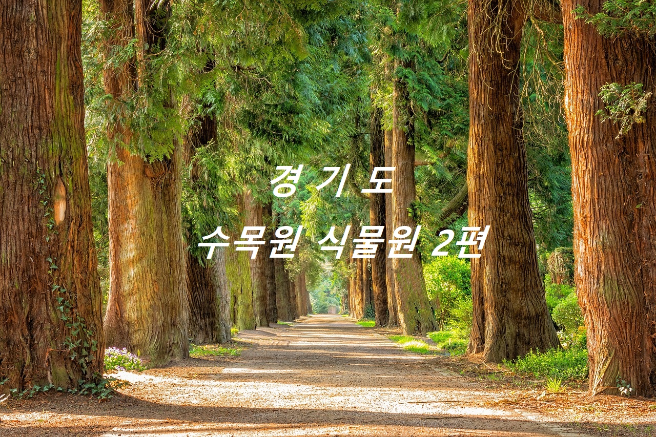 경기도 수목원 식물원 대표사진