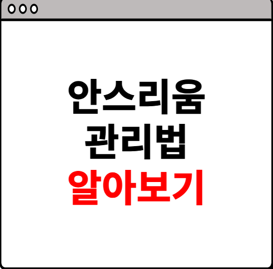 안스리움 관리법 알아보기