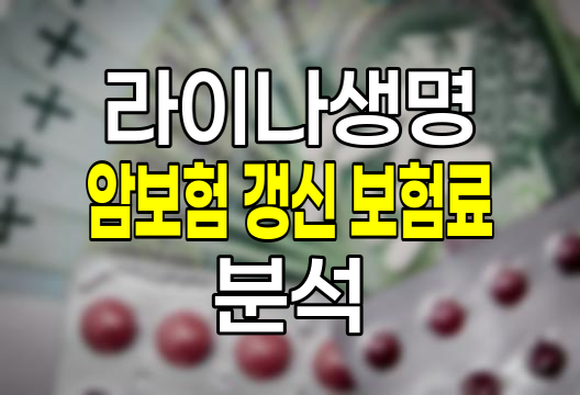 라이나생명 암보험 갱신 보험료 연령별 변화와 대응전략