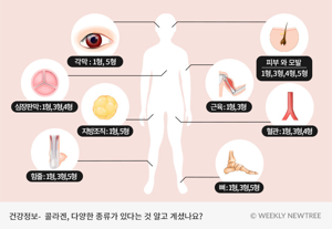 피부콜라겐