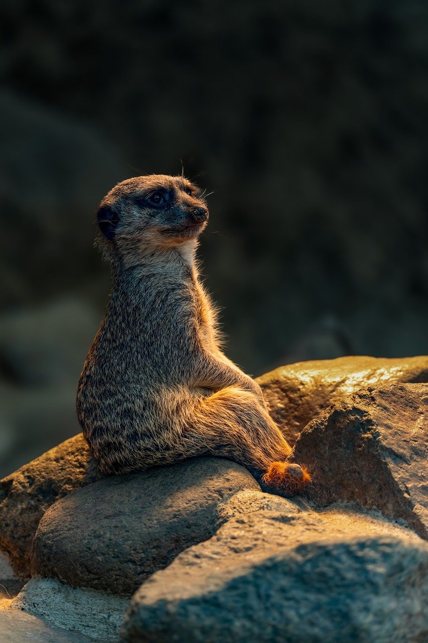 마법의 힘으로 자아를 발견하는 영화 엔칸토